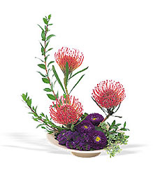 Pin Cushion Protea Bowl from Richardson's Flowers in Medford, NJ