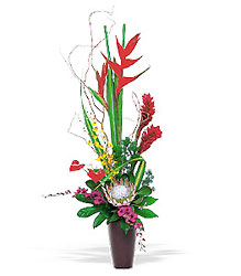 Tropical Beauty from Richardson's Flowers in Medford, NJ