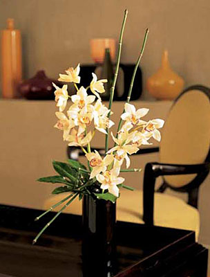 Artful Orchids from Richardson's Flowers in Medford, NJ