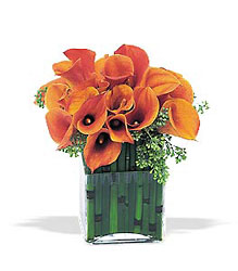 Bronze Callas from Richardson's Flowers in Medford, NJ