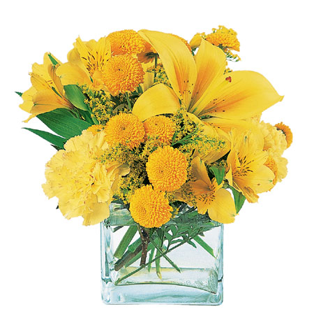 Sunshine Thoughts from Richardson's Flowers in Medford, NJ