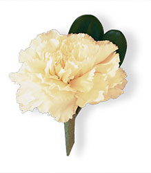 White Carnation Boutonniere from Richardson's Flowers in Medford, NJ