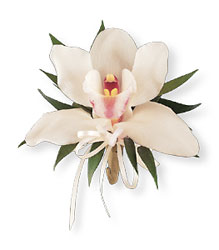 Cymbidium Orchid Corsage from Richardson's Flowers in Medford, NJ