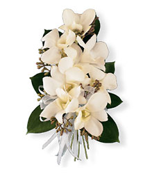 White Dendrobium Corsage from Richardson's Flowers in Medford, NJ