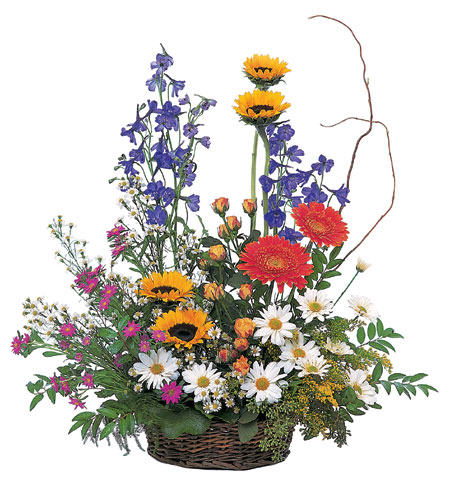 Stylish Reflections from Richardson's Flowers in Medford, NJ