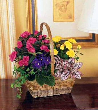 Blooming Garden Basket from Richardson's Flowers in Medford, NJ