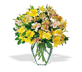 Sparkling Alstroemeria from Richardson's Flowers in Medford, NJ