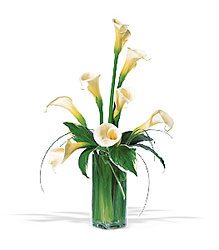 White Callas from Richardson's Flowers in Medford, NJ