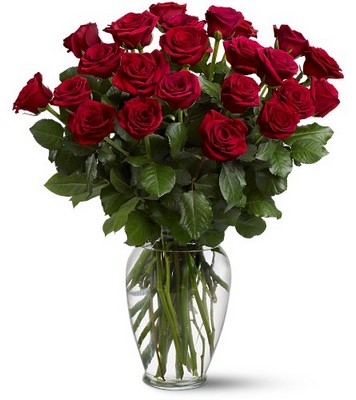 Two Dozen Red Roses from Richardson's Flowers in Medford, NJ