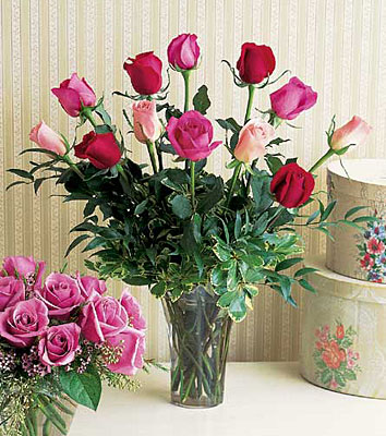 A Dozen Multi-colored Roses from Richardson's Flowers in Medford, NJ