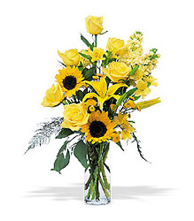 Blazing Sunshine from Richardson's Flowers in Medford, NJ