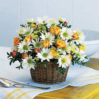 Joyful Roses and Daisies from Richardson's Flowers in Medford, NJ