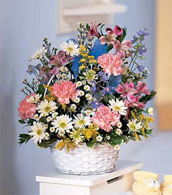New Baby Jubilee from Richardson's Flowers in Medford, NJ