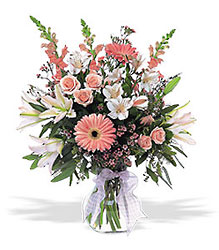New Baby Girl Arrangement from Richardson's Flowers in Medford, NJ