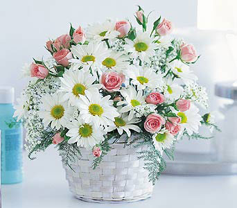 New Baby Girl Basket from Richardson's Flowers in Medford, NJ