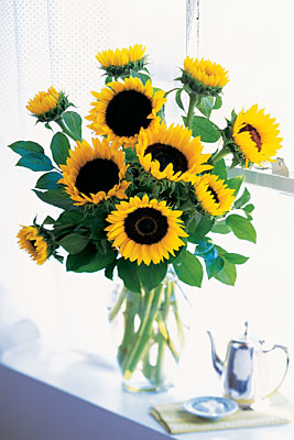 Shining Sunflowers from Richardson's Flowers in Medford, NJ