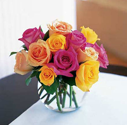 Hot Summer Roses from Richardson's Flowers in Medford, NJ