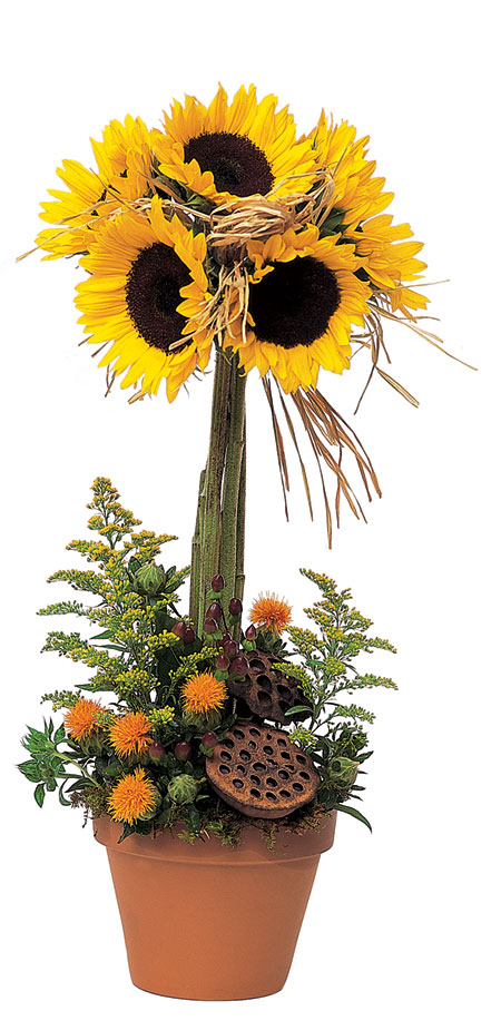 Sunflower Topiary from Richardson's Flowers in Medford, NJ