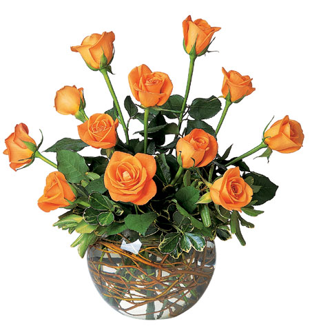A Dozen Orange Roses from Richardson's Flowers in Medford, NJ