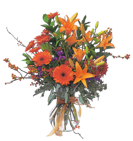 Fall Wonder from Richardson's Flowers in Medford, NJ