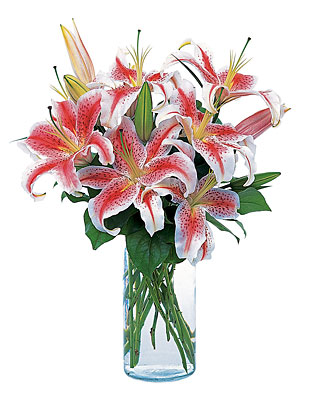 Lovely Lilies from Richardson's Flowers in Medford, NJ