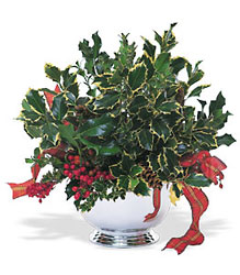 Holly Bowl from Richardson's Flowers in Medford, NJ