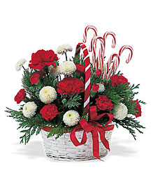 Candy Cane Basket from Richardson's Flowers in Medford, NJ